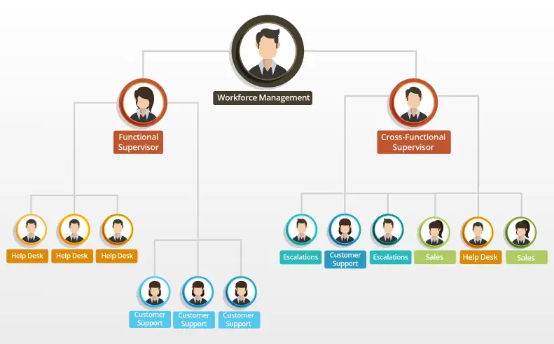 Pod or Team Structure