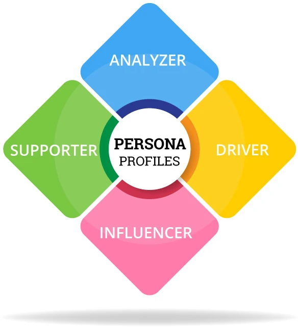 persona profile types infographic