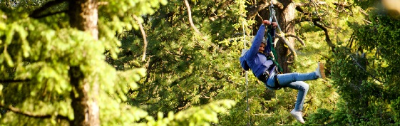 mountain treetop zipline